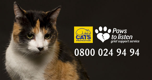 Paws For Support